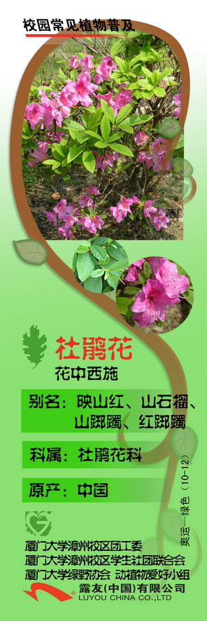 4444_缩小大小.jpg