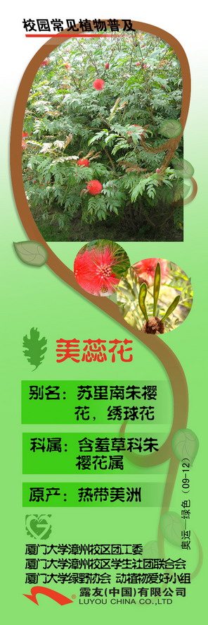 3333_缩小大小.jpg