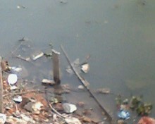 IMG0073A.jpg