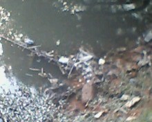 IMG0072A.jpg