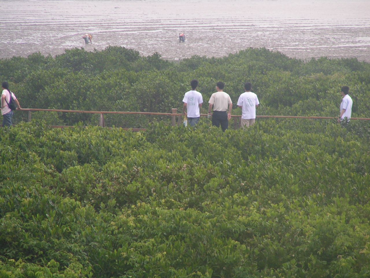 PICT0032.JPG