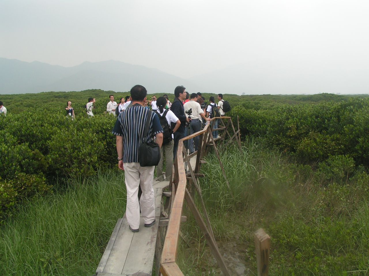 PICT0039.JPG