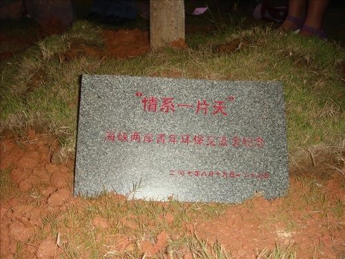生态树的牌牌.jpg
