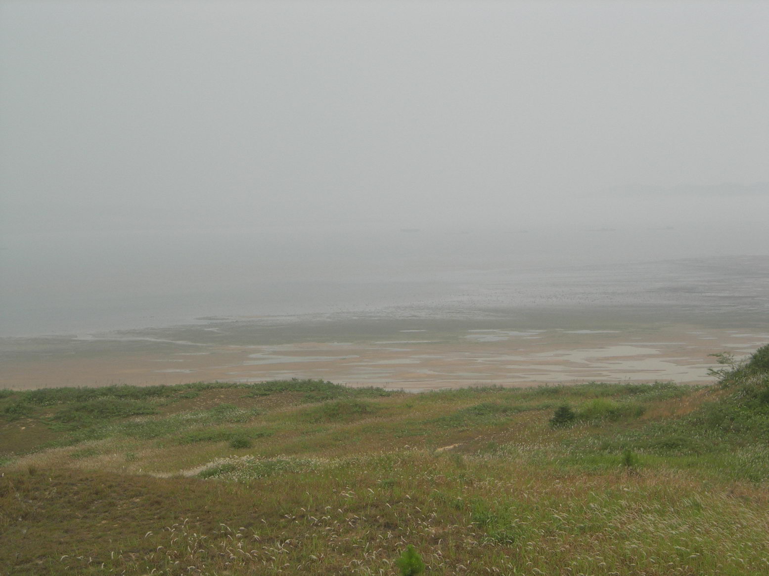 DSCN8561.JPG