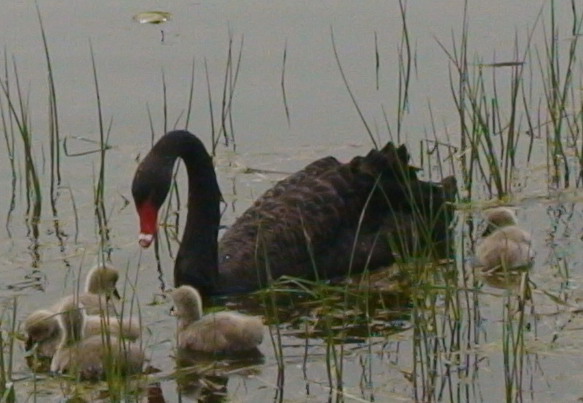 SC00264.jpg