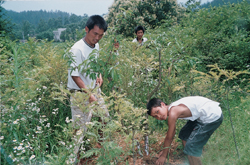 格平绿色助学行动6.jpg