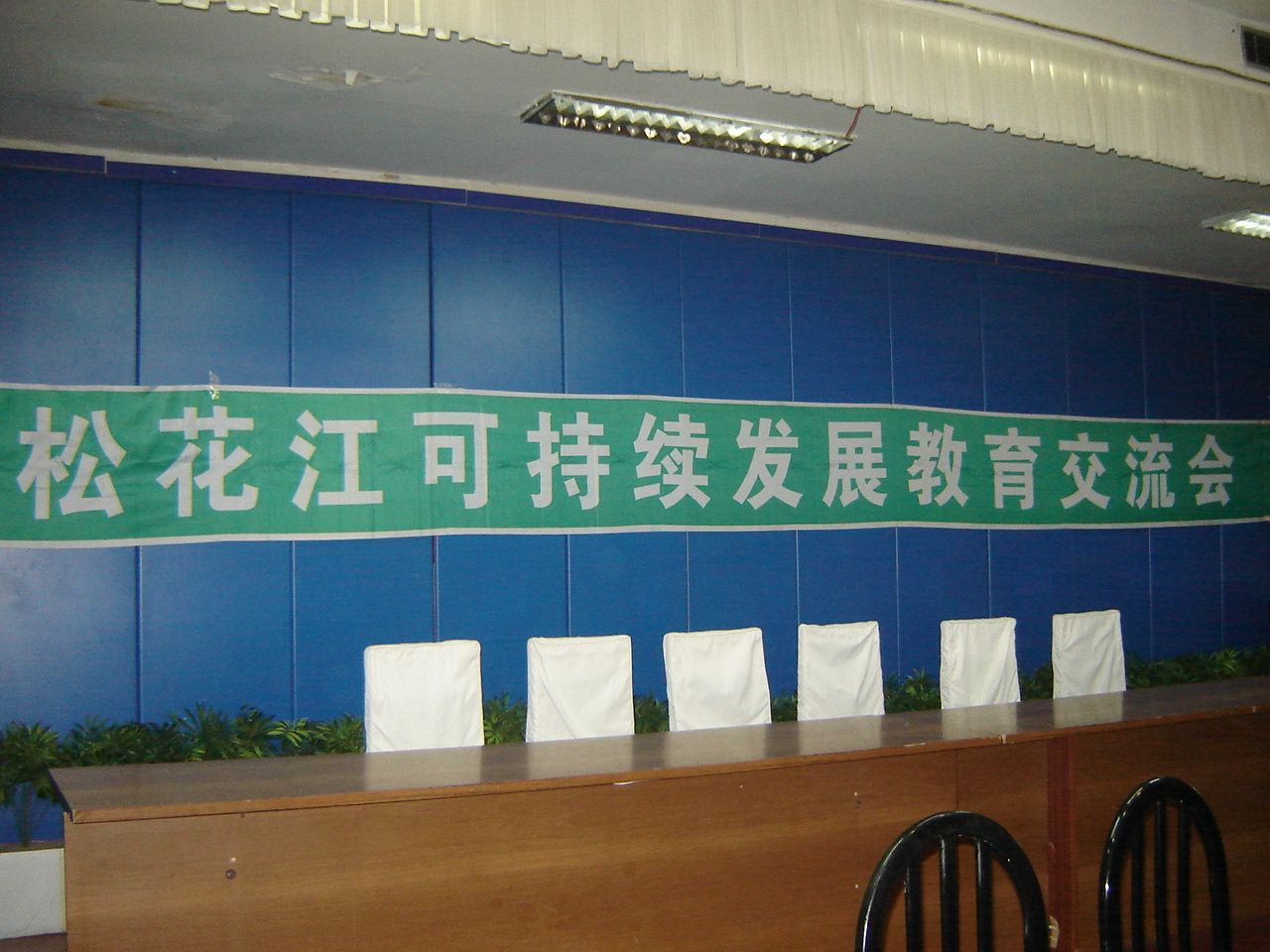 DSC08538.JPG