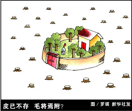 皮以不存，毛将焉附.jpg