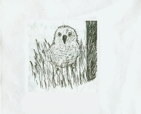 2.gif