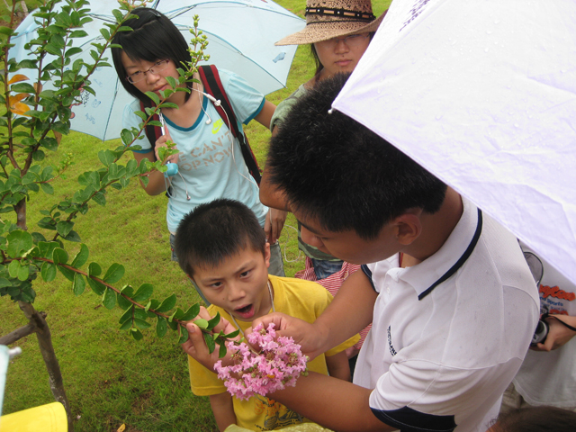 东谷湖－植物讲解.jpg