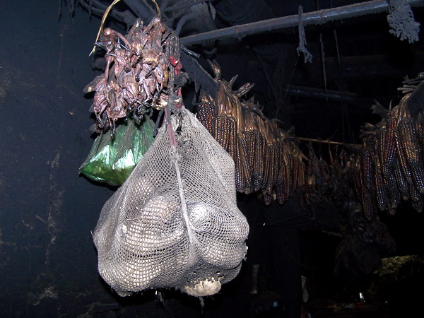 2006131533181423.jpg