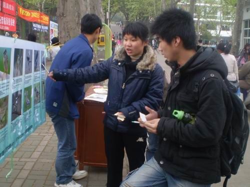 20080402123307378.jpg