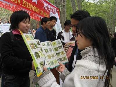 20080403054909625.jpg