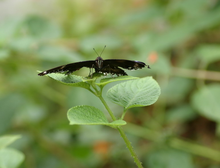 IMG_6865_调整大小.jpg
