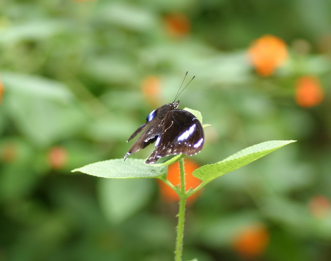 IMG_6867_调整大小.jpg