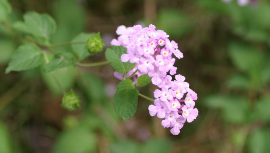 IMG_6835_调整大小_调整大小.jpg