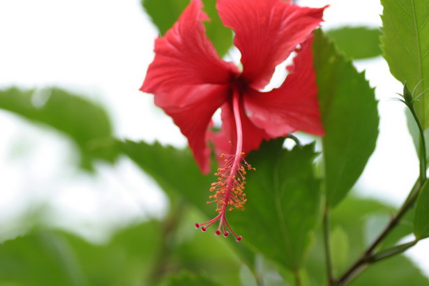 IMG_6844_调整大小_调整大小.JPG