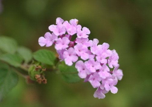 IMG_6832_调整大小_调整大小.jpg