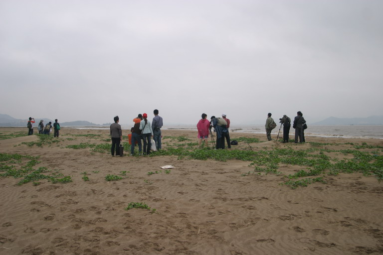 IMG_6612_调整大小.JPG