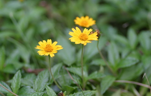 IMG_6828_调整大小_调整大小.jpg