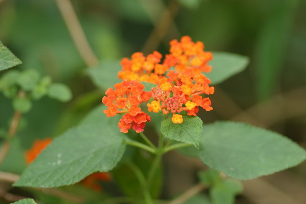 IMG_6852_调整大小_调整大小.JPG