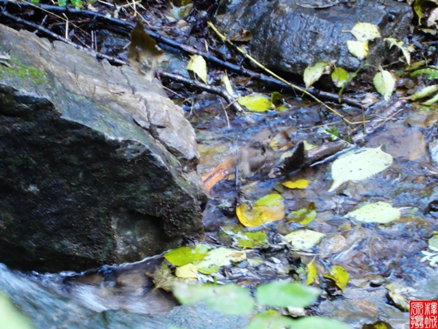 DSC02380.JPG