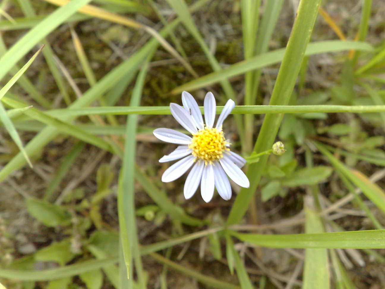 20080919069.jpg