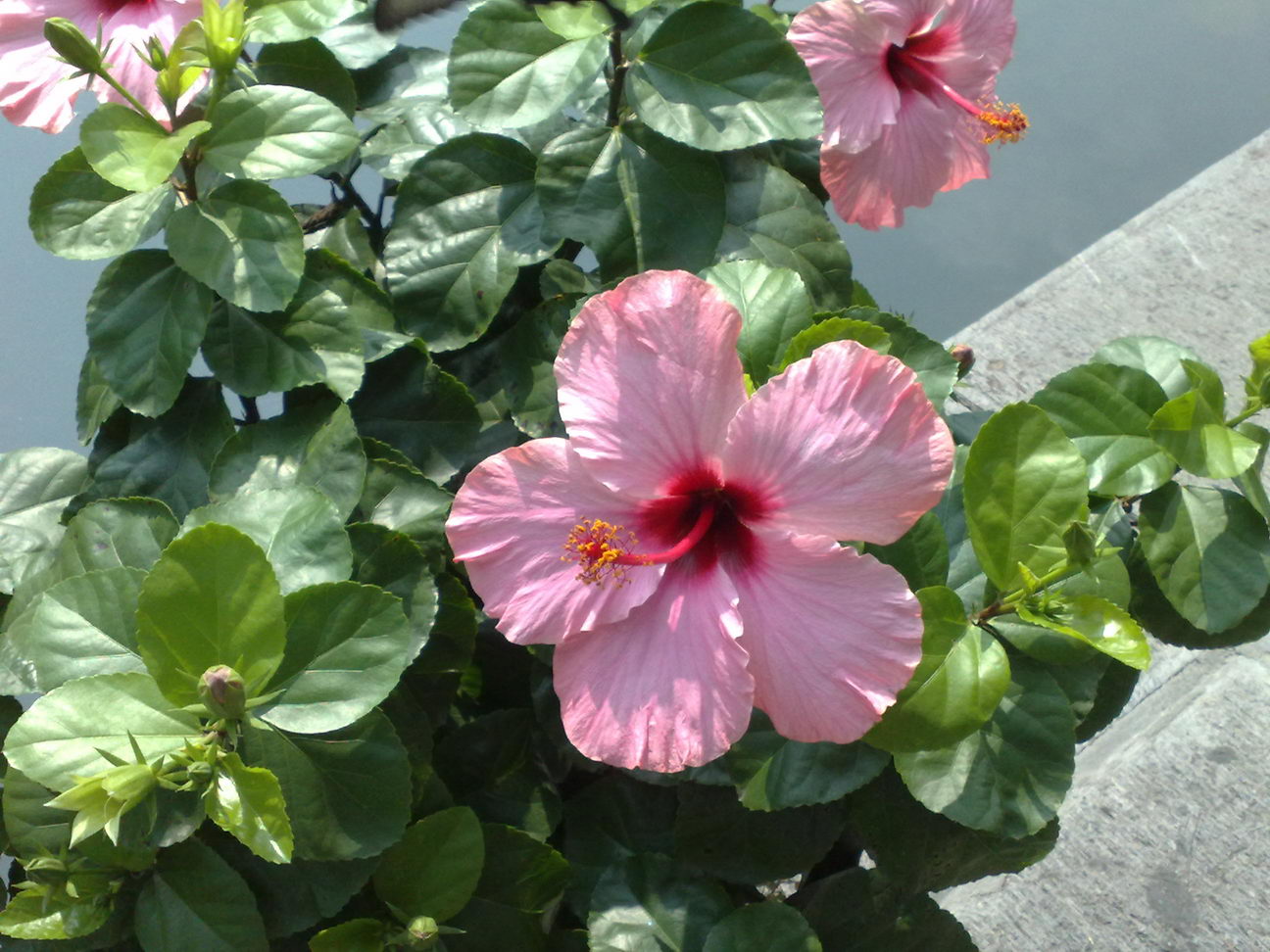 20080930088.jpg