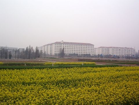 100_2577.jpg