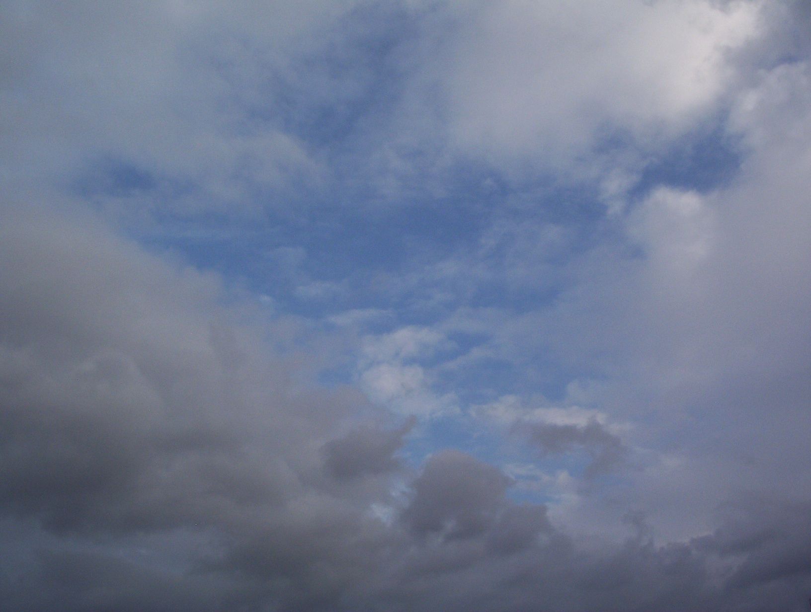100_2008.JPG