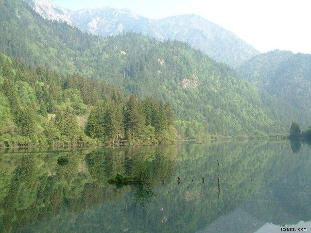 yness_200752317300.jpg