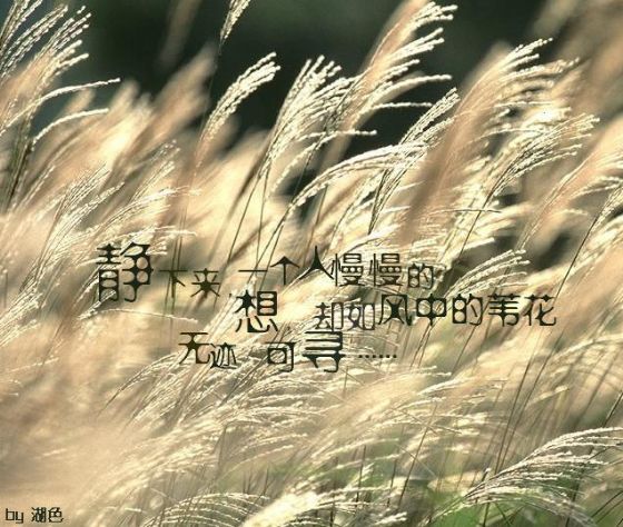 1ec6d382645bcdb36c81194c.jpg