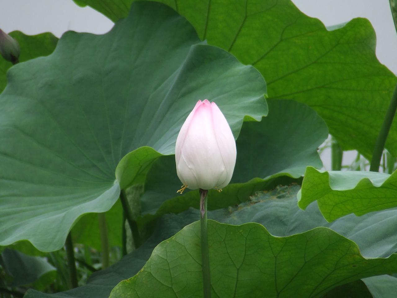 DSCF1501.jpg