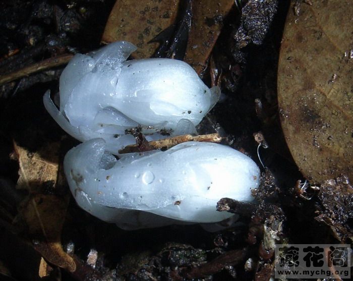 20070507_3466e6c0d412a1c93bbc8NUdiQJzlWwp.jpg