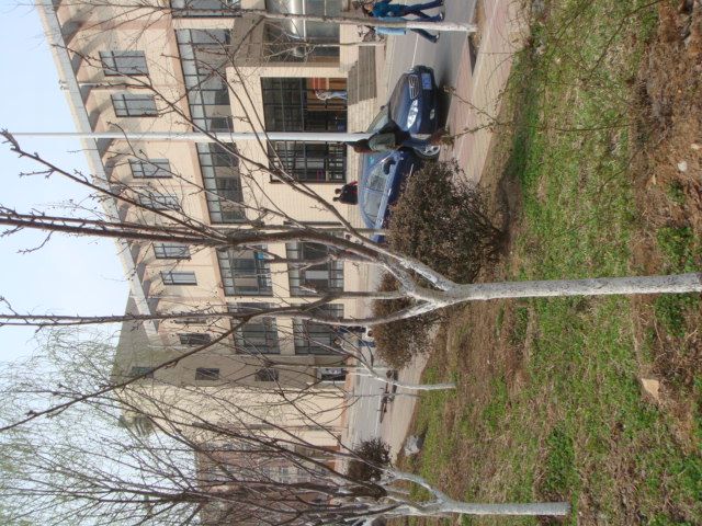 DSC01317.JPG