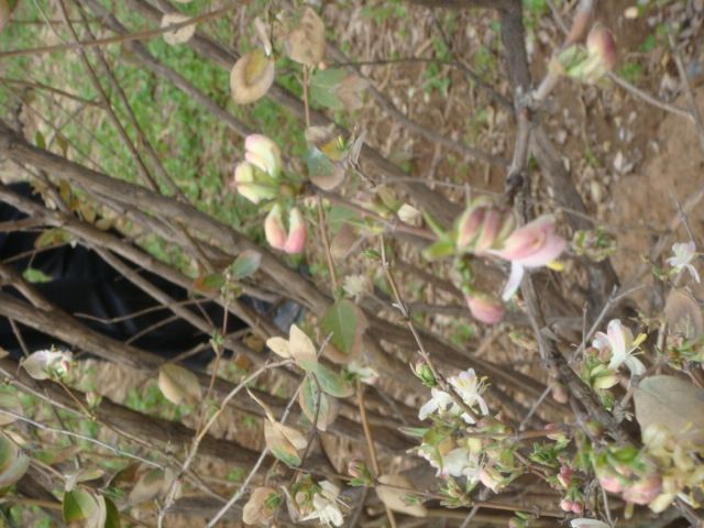 DSC01315.JPG
