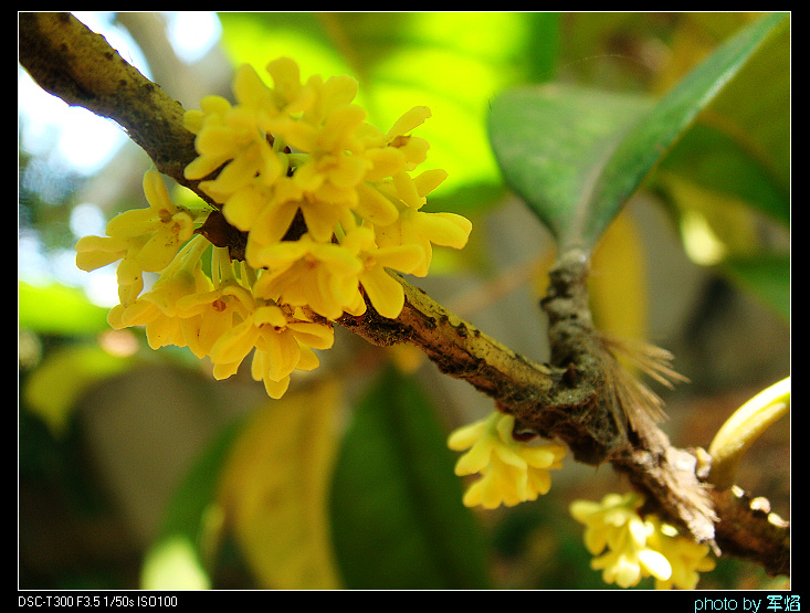DSC04328.jpg