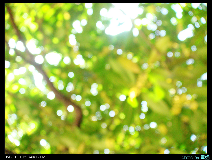 DSC04333.jpg