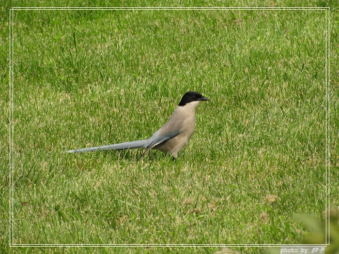 IMG_0291.JPG