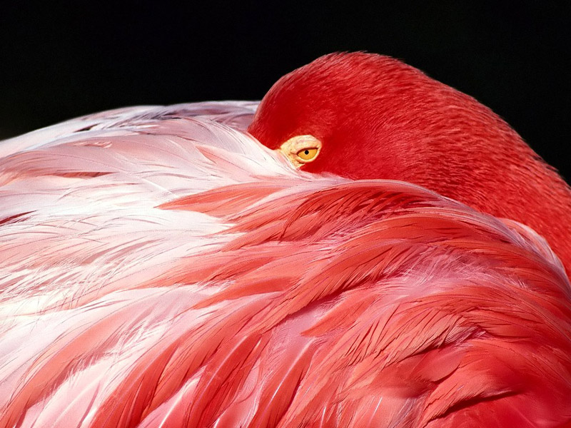 F2005032916202500000.jpg