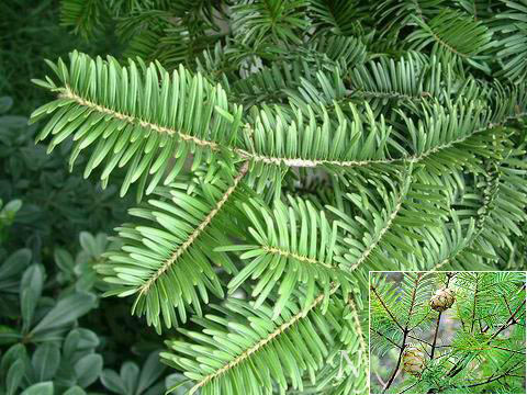 200782310351420.jpg