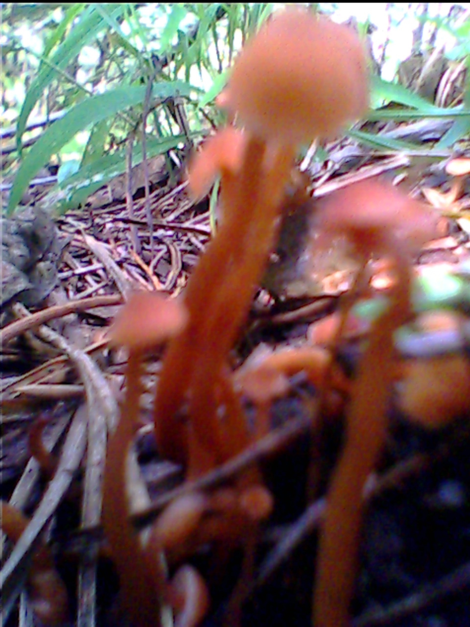 IMG0186A.jpg