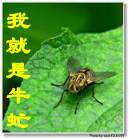 79767581[1] 拷贝.jpg