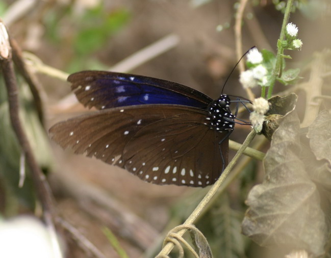 IMG_6916_调整大小.jpg