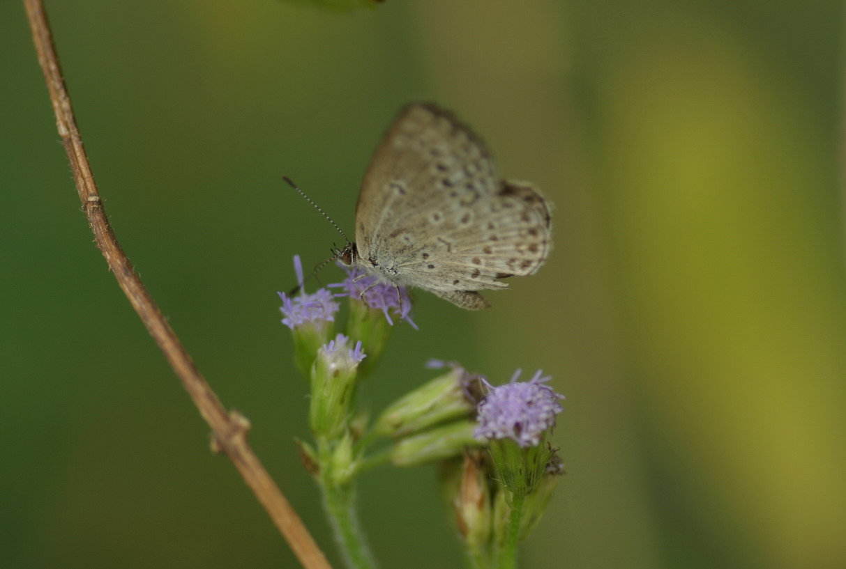 IMG_7024_调整大小.jpg