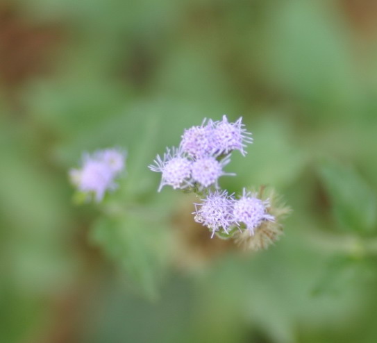 IMG_6921_调整大小.jpg
