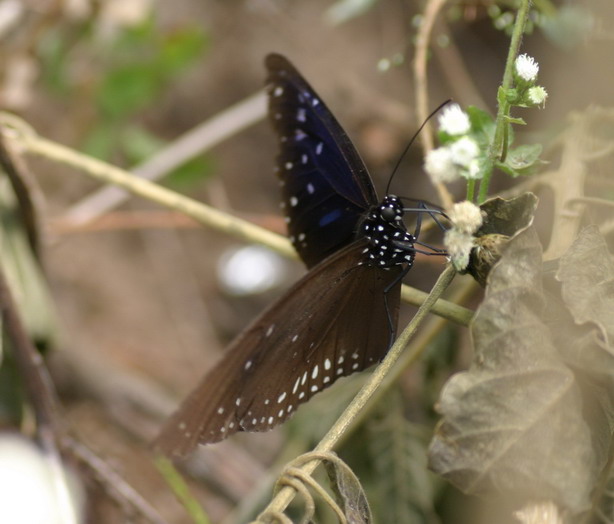 IMG_6914_调整大小.jpg