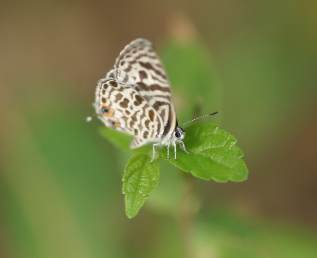 IMG_7034_调整大小.jpg