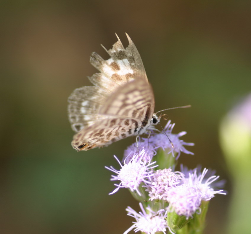 IMG_7062_调整大小.jpg