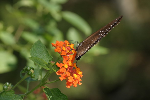 IMG_7572_调整大小.jpg